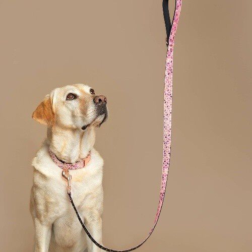 Baona correa kuta de nylon reciclado rosa para perros, , large Imagen numero 2