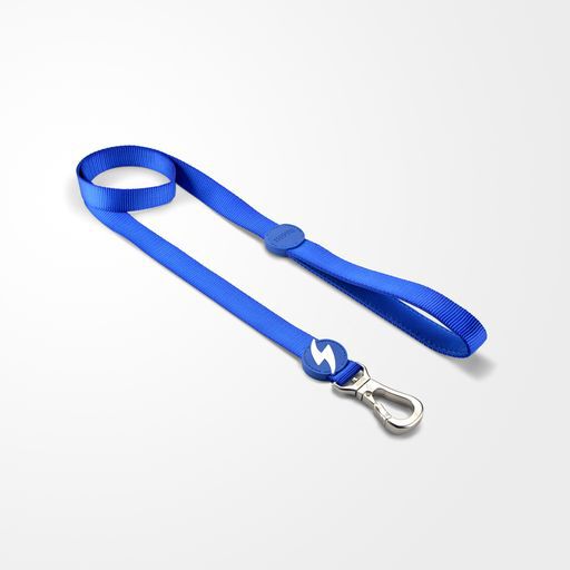 Correa de nylon para perro color Azul, , large Imagen numero 2