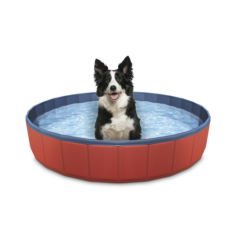 Summer Vibes Piscina para perro image number null