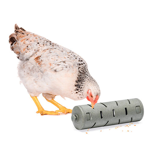 Comedero Rodillo Interactivo para Gallinas y Otras Aves - Juguete para Gallinas - Comedero Divertido para Alimentar Gallinas - Snack Roller, , large Imagen numero 1