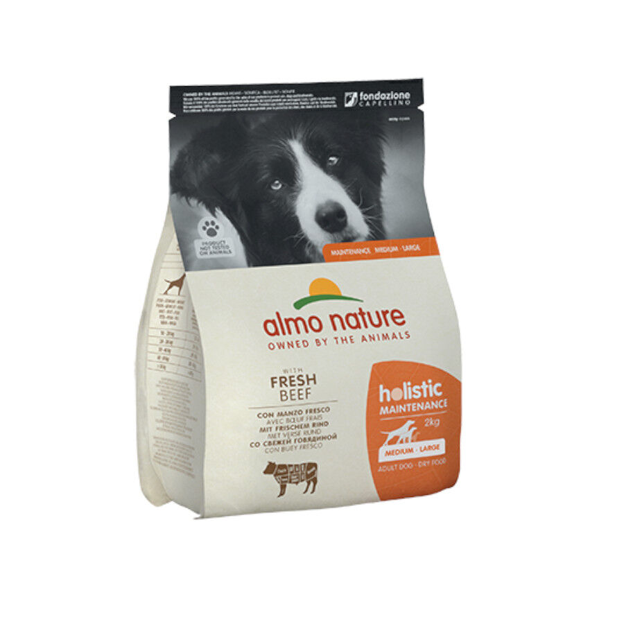 2 kg Almo Nature Adult Medium Holistic Maintenance Buey pienso para perros, , large Imagen numero 1