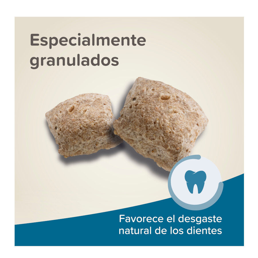 Beaphar Care+ Pienso para ratas thumbnail