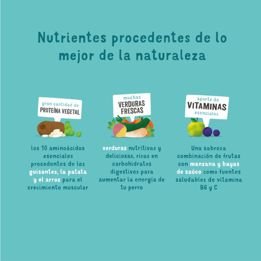 Edgard &amp; Cooper Remolacha y Calabaza pienso para perros thumbnail