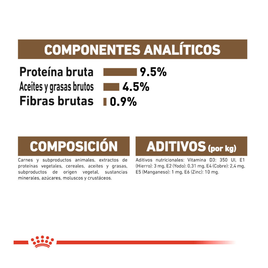 85 g Royal Canin Ageing 12+ gelatina sobres para gatos, , large Imagen numero 7