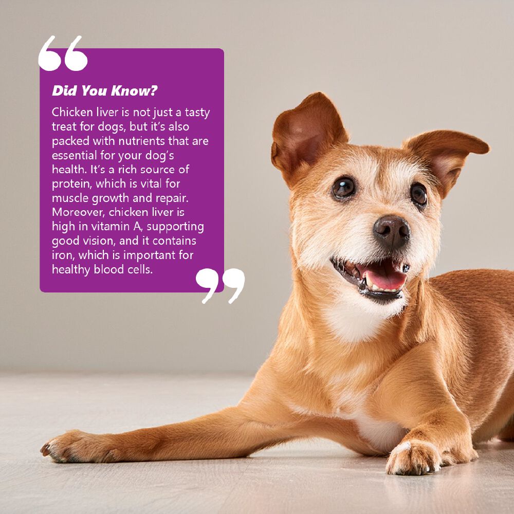 Alimento completo y equilibrado para perros sin cereales con pollo (250 g/8,82 oz), , large Imagen numero 8