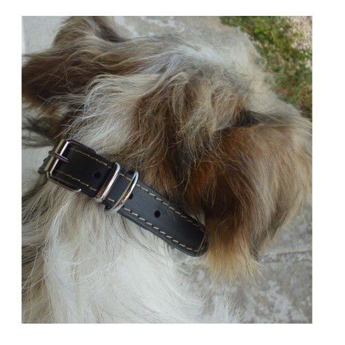 Yago Collar de Cuero para perros, , large Imagen numero 2
