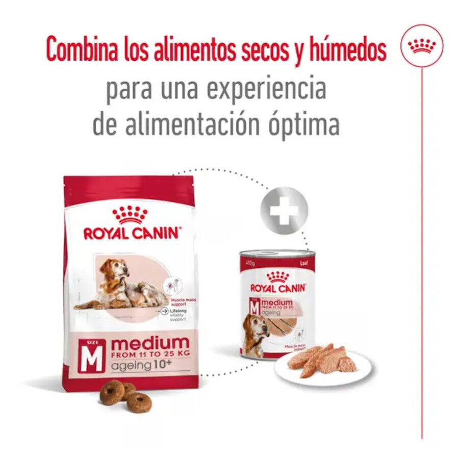 15 kg Royal Canin Medium 10+ Ageing pienso para perros&nbsp;senior, , large Imagen numero 9