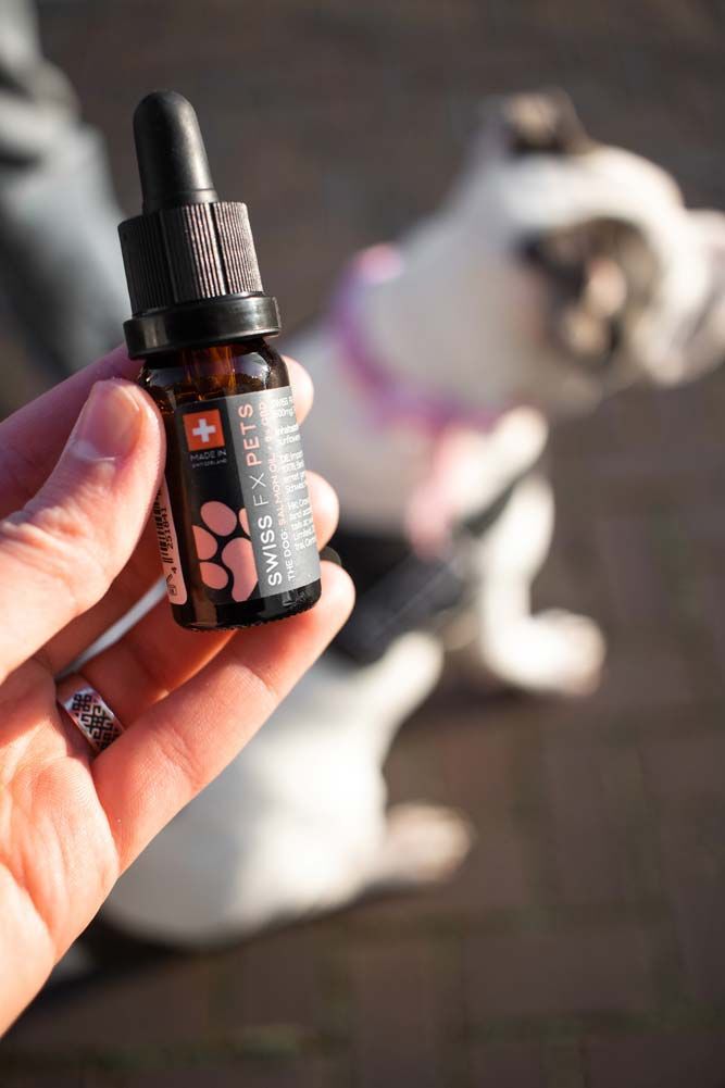 SWISS FX Aceite de CBD 10% Carne para perros thumbnail