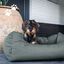 Cama Para Perros, , large indicador imagen numero 10