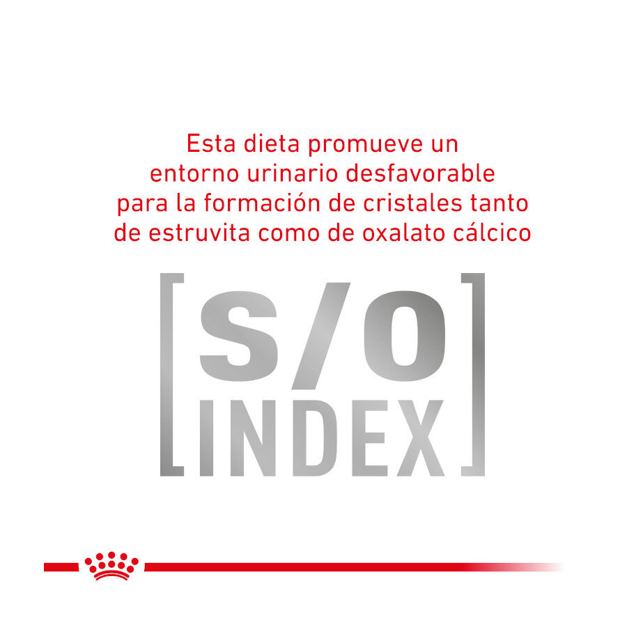 Royal Canin Veterinary Gastrointestinal Hairball pienso para gatos thumbnail