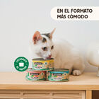 Wild Balance BARF Pollo y Vegetales lata para gatos, , large image number null