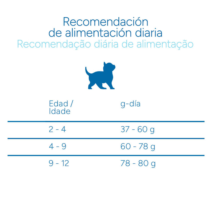 Criadores Cient&iacute;fico Kitten pollo pienso para gatitos, , large Imagen numero 9