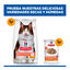 85 g Hill's Science Plan Adult Perfect Digestion Pollo comida h&uacute;meda para gatos, , large indicador imagen numero 9