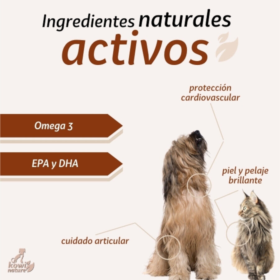 KOWI OMEGA DROPS, 250 ML, , large Imagen numero 4