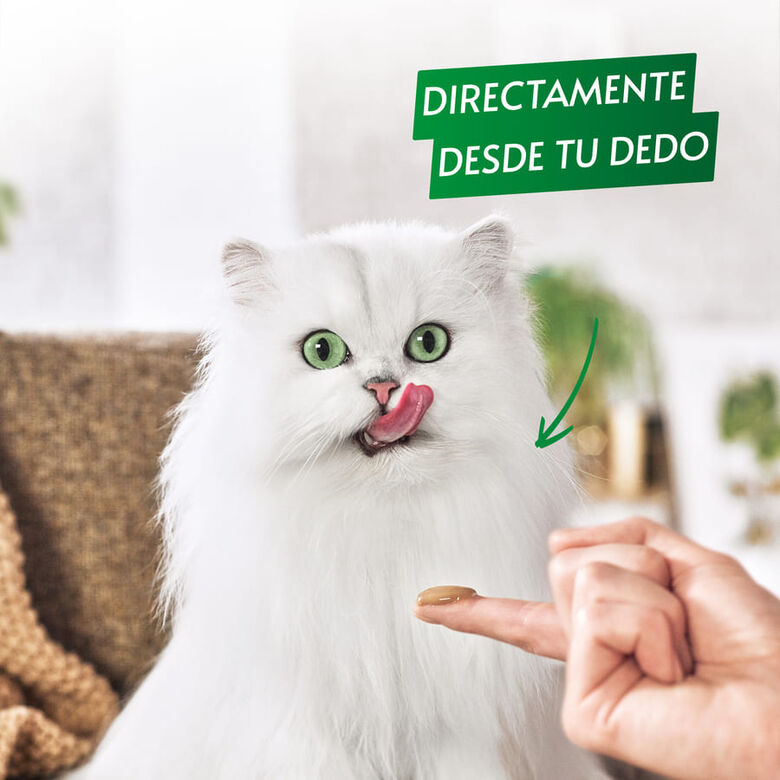 Gourmet Nature’s Creations Snack Húmedo de Pollo para gatos thumbnail
