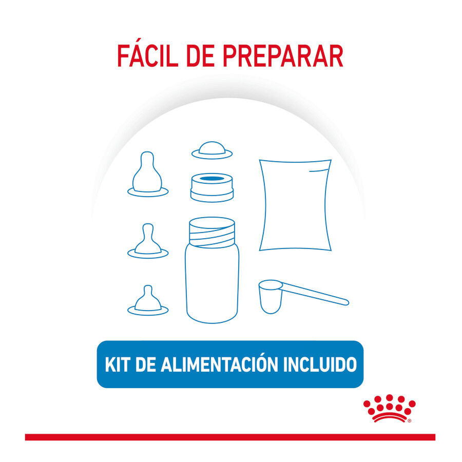 400 g Royal Canin Leche para cachorros primer a&ntilde;o, , large Imagen numero 7