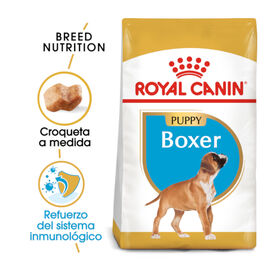 Royal Canin Puppy Boxer pienso para cachorros