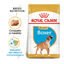 12 kg Royal Canin Puppy Boxer pienso para cachorros, , large indicador imagen numero 2