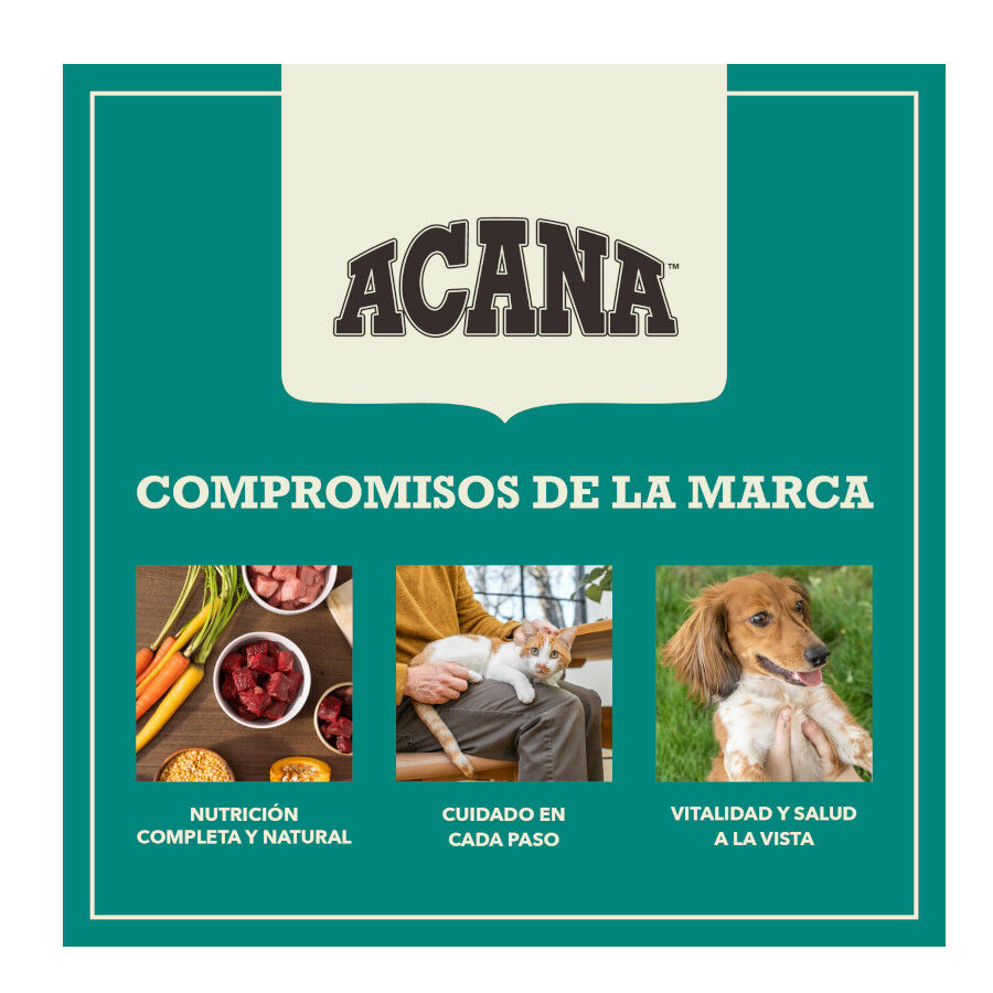 6 kg Acana Coldwater Fish pienso para perros, , large Imagen numero 11
