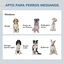 PawHut Comedero Elevado para Perros Medianos con 2 Cuencos, , large indicador imagen numero 4