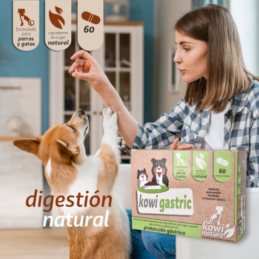 KOWI GASTRIC, 60 COMPRIMIDOS, , large Imagen numero 2