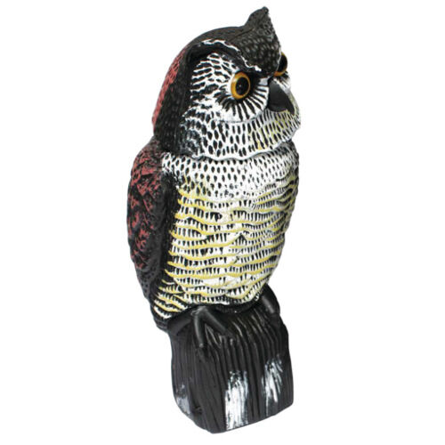 Biotop b&uacute;ho espantap&aacute;jaros con cabeza giratoria Imagen numero 1