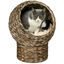 PawHut Cama para Gatos de Mimbre Cueva para Gatos Desmontable con Cojín Extraíble 42x33x52 cm Marrón Oscuro y Beige, , large indicador imagen numero 1