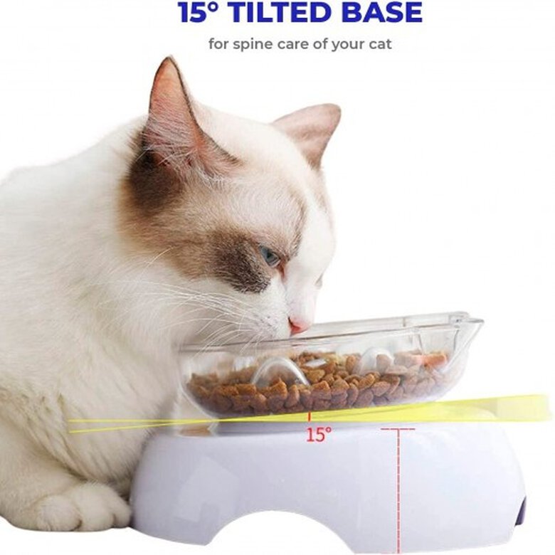 Edipets comedero individual antivoracidad para gatos, , large image number null