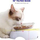 Edipets comedero individual antivoracidad para gatos, , large image number null