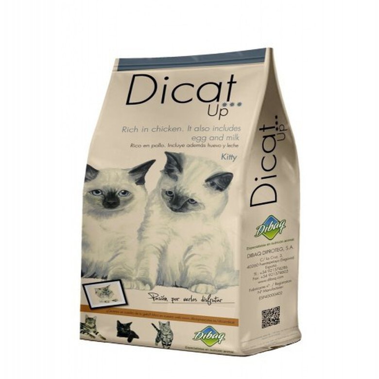 Pienso Dibaq Dicat Up Kitty para gatitos bebé sabor Pollo, , large image number null