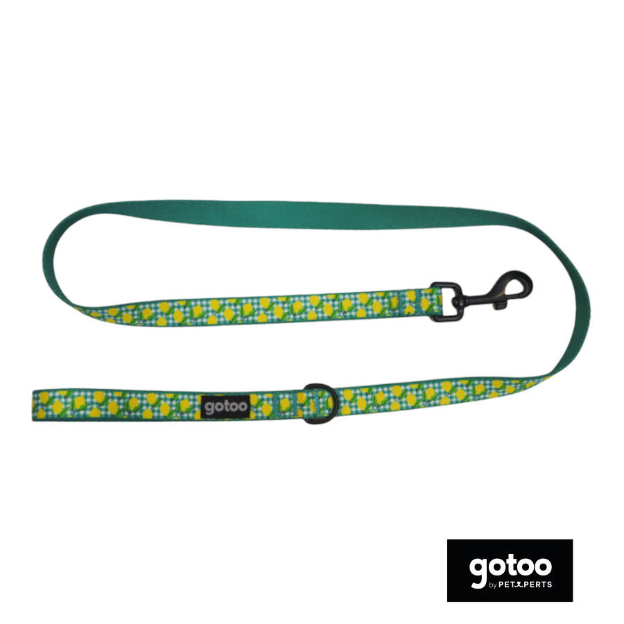 Gotoo Correa estampado vichy amarillo para perro, , large Imagen numero 2