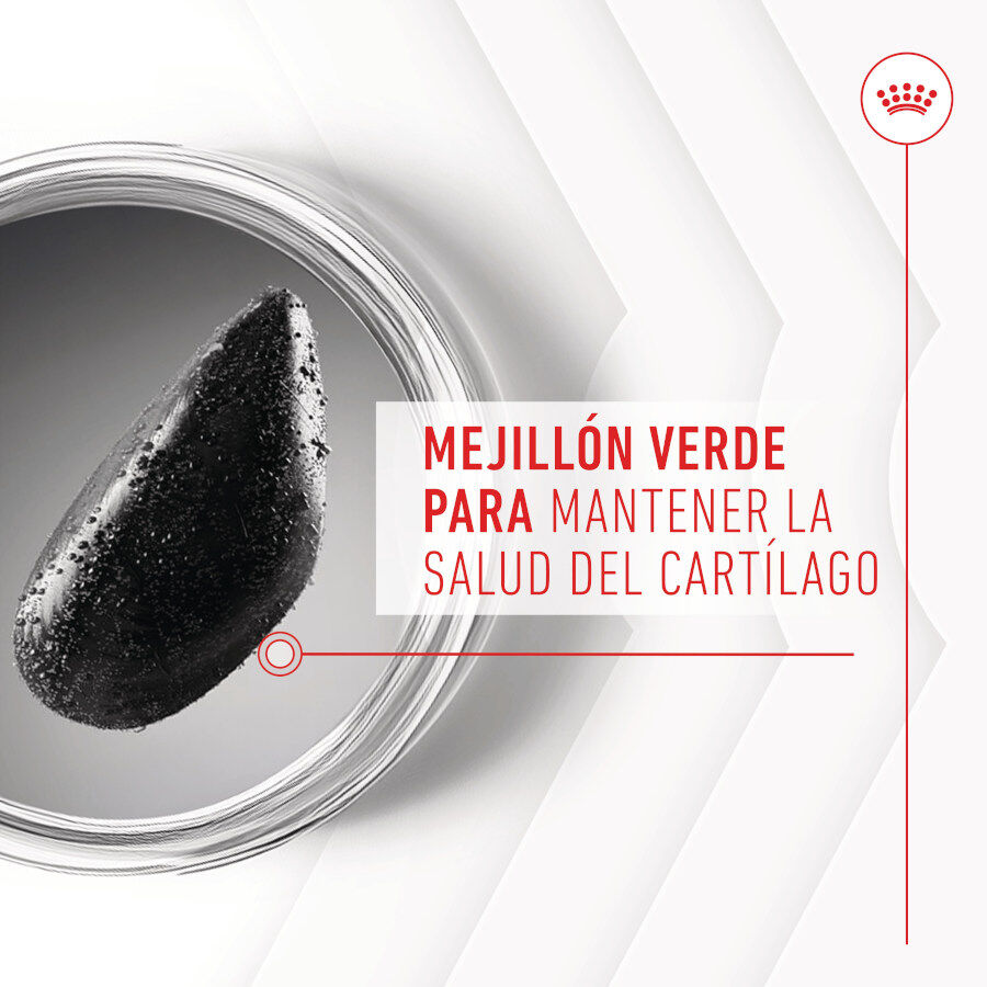 Royal Canin Joint &amp; Ageing Chews Suplemento Nutricional para perros con sensibilidad articular thumbnail