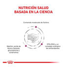 Royal Canin Veterinary Early Renal pienso para gatos, , large image number null