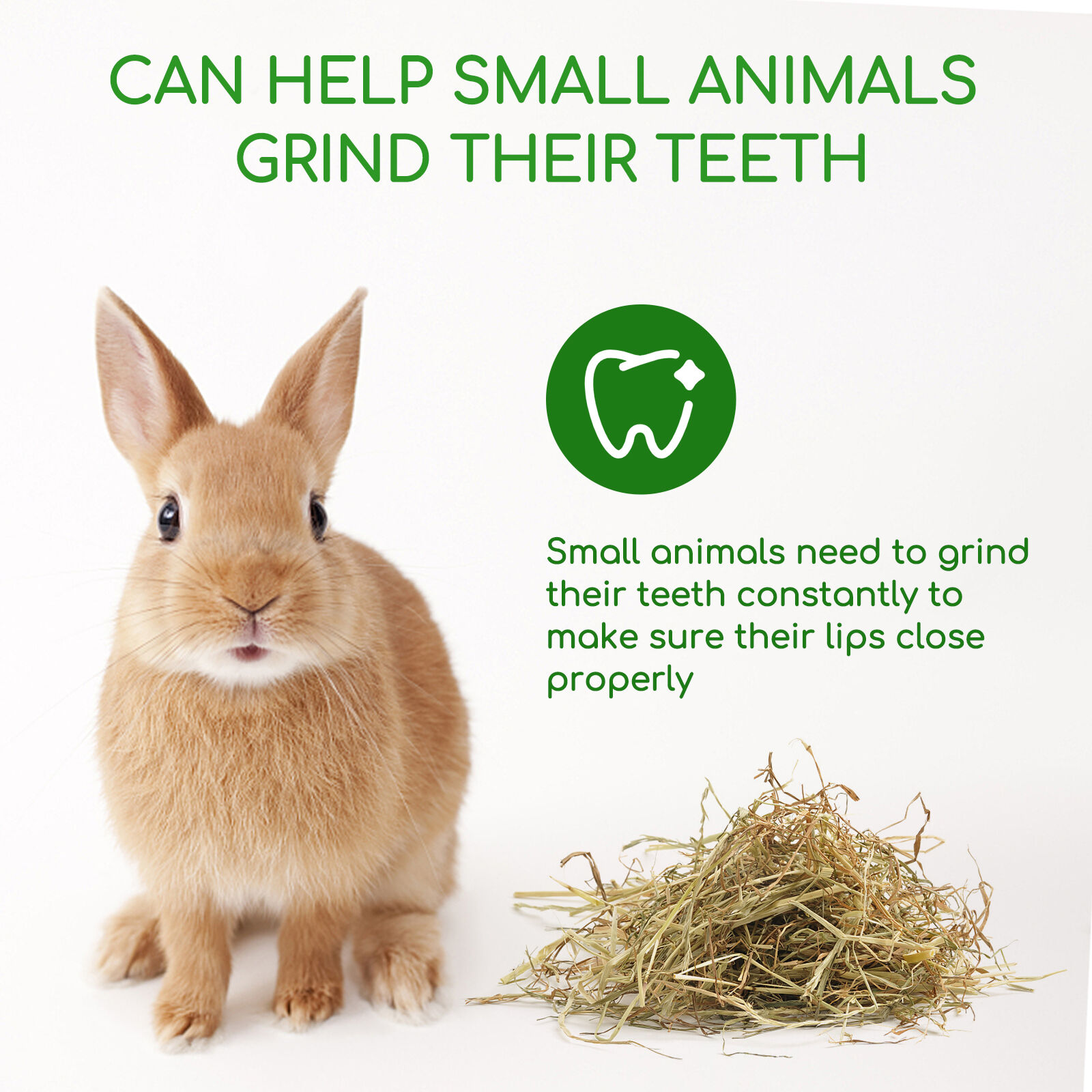 Nobleza Pienso Premium Heno para conejos thumbnail