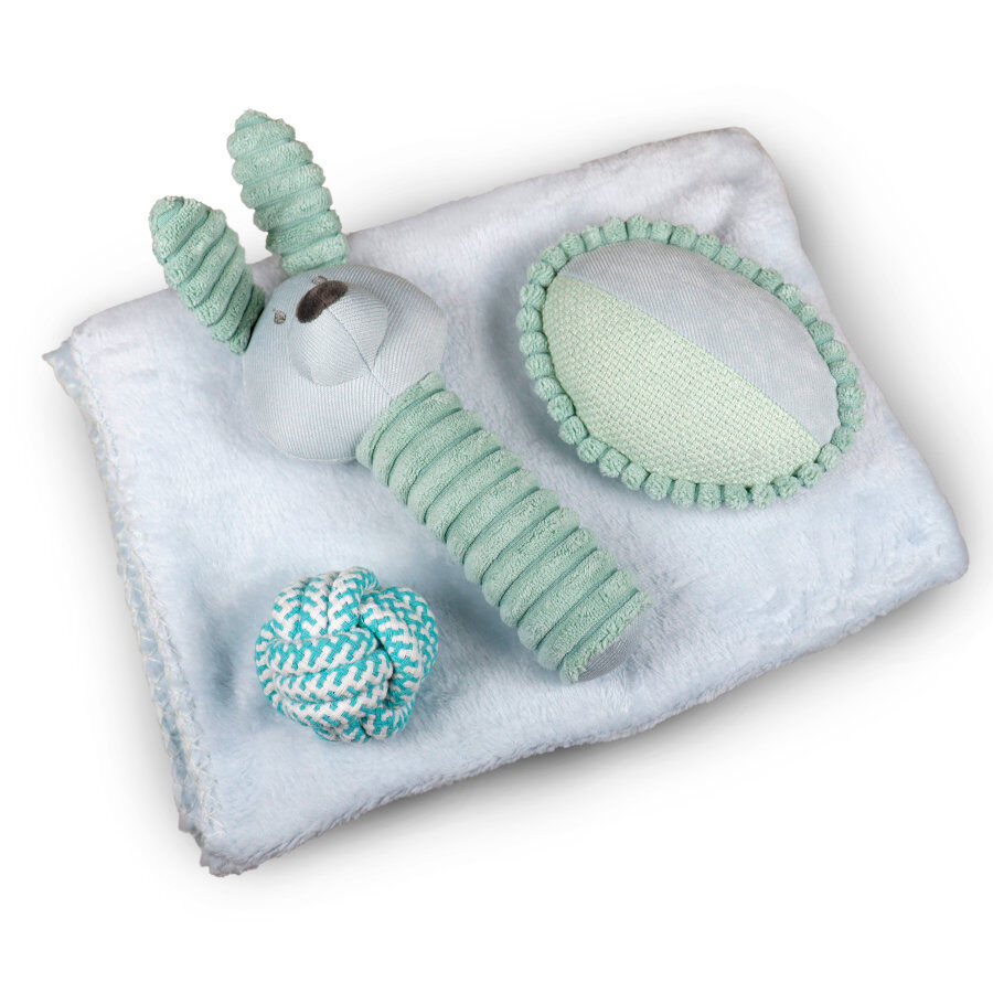 Tootoy! Comfort Pack de Bienvenida para cachorros, , large Imagen numero 2