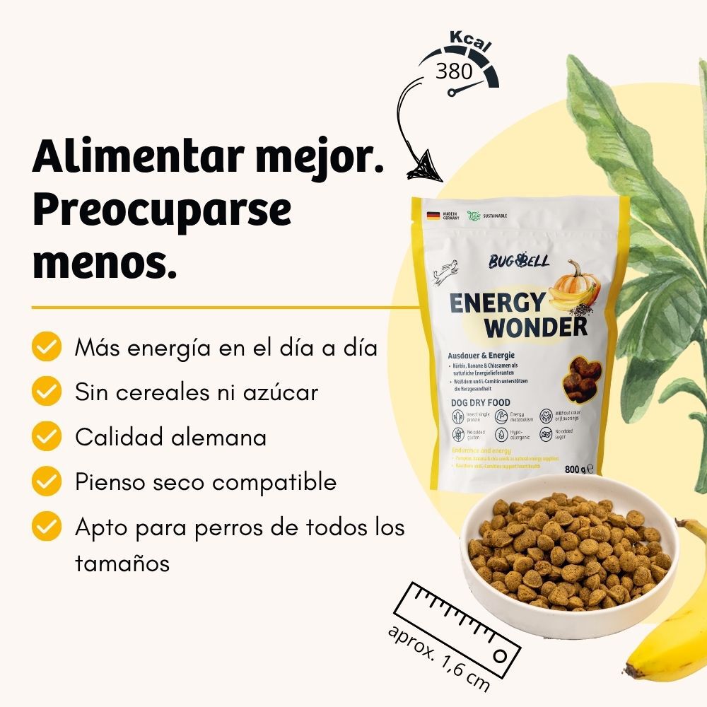 BugBell EnergyWonder Pienso 5x800 g &ndash; Hipoalerg&eacute;nico, sin cereales, con prote&iacute;na de insecto, pl&aacute;tano, ch&iacute;a y L-Carnitina, , large Imagen numero 2