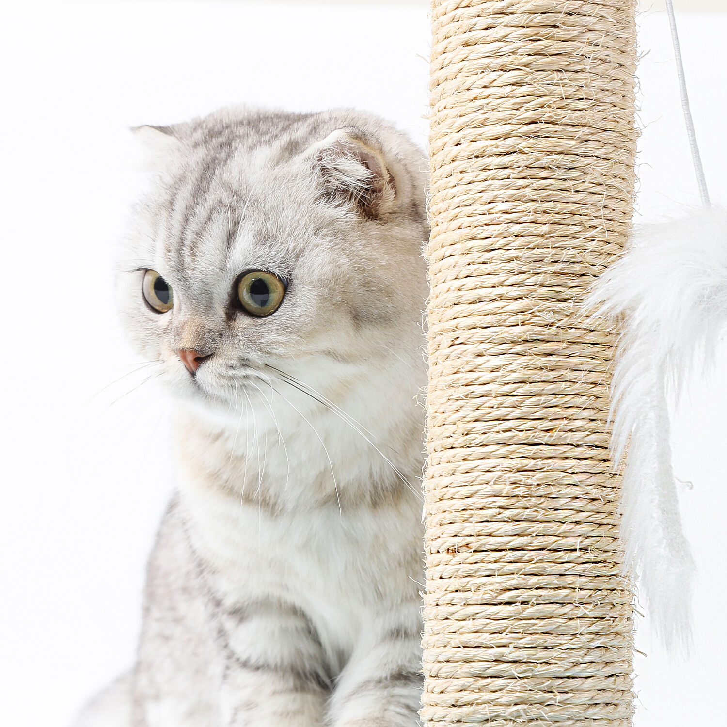 Nobleza &ndash; Poste rascador para Gatos de sisal con Juguete. Peque&ntilde;o, Color Azul. Medidas: 20 * 22 * 28vm, , large Imagen numero 3