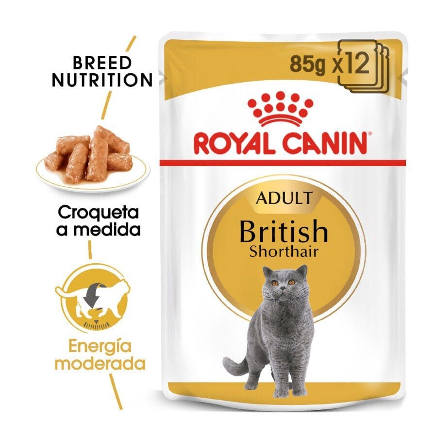 Royal Canin Sobre en Salsa British Shorthair Adult thumbnail