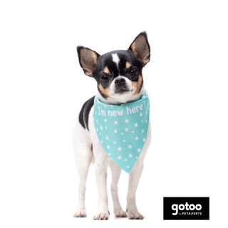 Gotoo Bandana estampada verde para perros