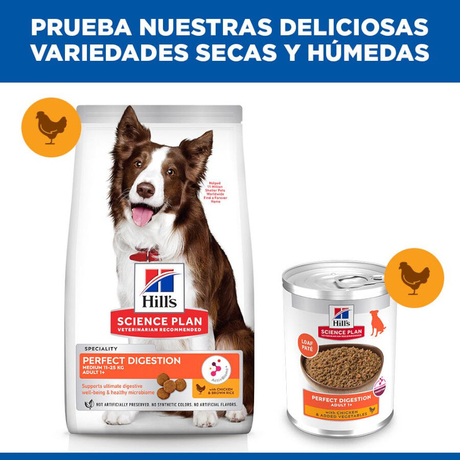 Hill&#039;s Science Plan Perfect Digestion Adult Pollo lata para perros thumbnail