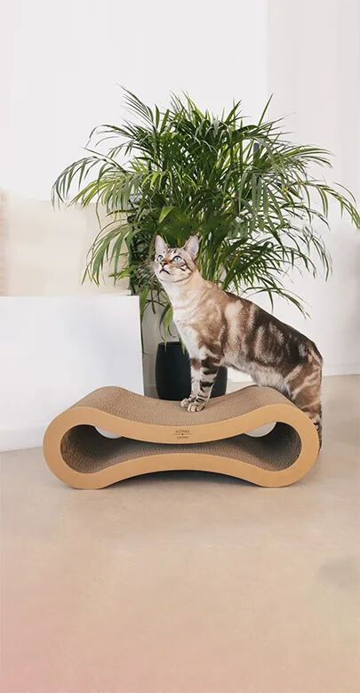 Althea Living - Rascador para Gatos con Forma de Infinito, cart&oacute;n corrugado, reversible, , large Imagen numero 2