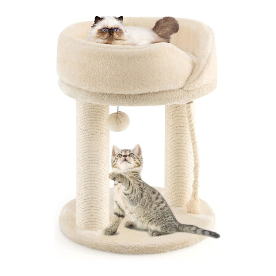 COSTWAY &Aacute;rbol Rascador para Gatos, Altura 53 cm, Torre para Gatos 4 en 1 con Plataforma, Base Acolchada, Bola de Juguete y Cuerda de Sisal, Poste de Rascado (Beige), , large Imagen numero 1