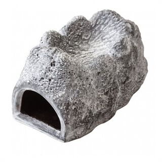 Cueva húmeda Wet Rock para reptiles
