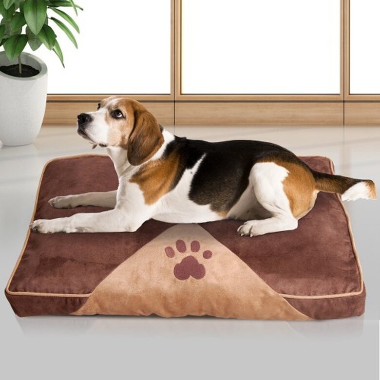 Pawhut cama acolchada marrón para perros, , large image number null