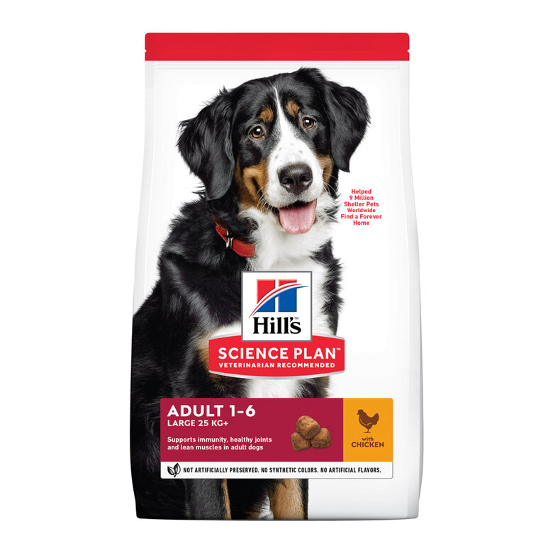 Hill's Science Plan Adult Large Pollo pienso para perros, , large image number null
