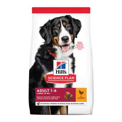 Hill's Large Adult Science Plan Pollo pienso para perros 