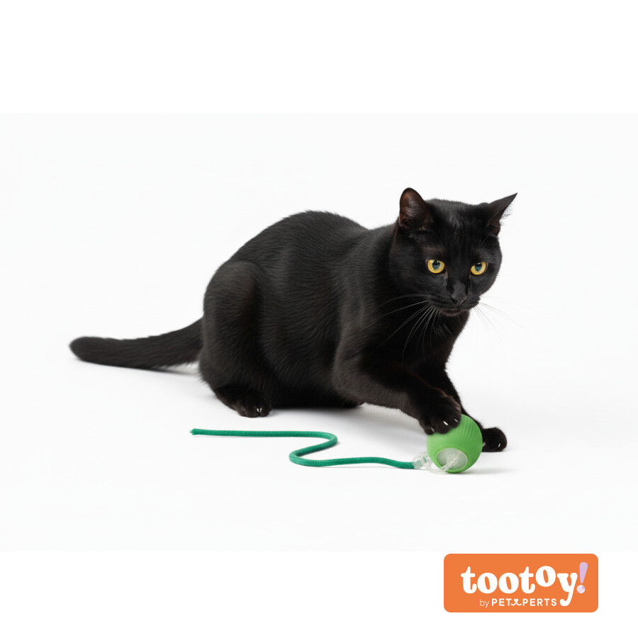 Tootoy! Pelota Interactiva con Luces y Cuerda Verde para gatos, , large Imagen numero 9
