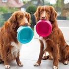 Cuenco antibacteriano Hero Hownd para perros color Aguamarina, , large image number null