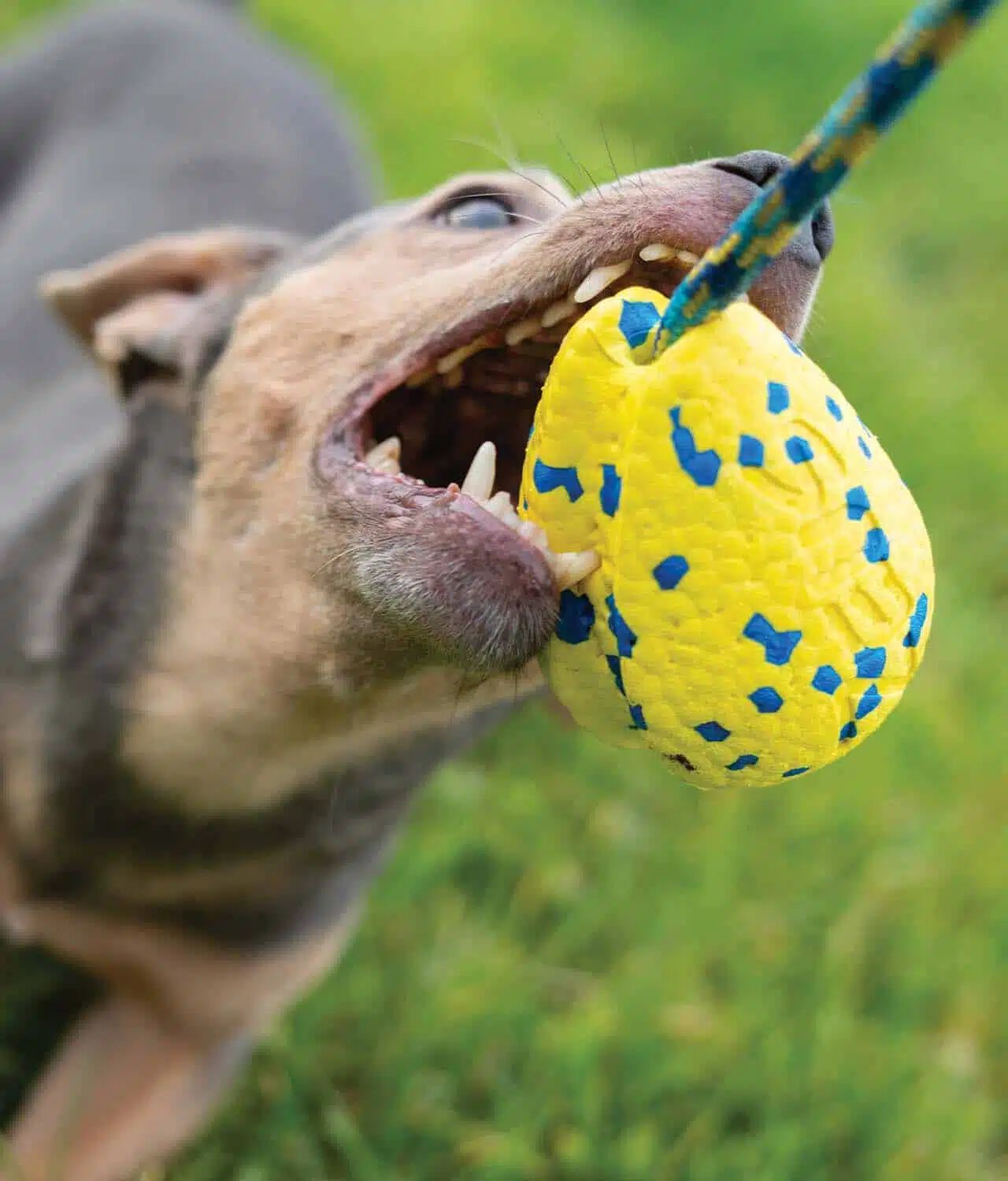 Zeus Nitro&trade; Hondero Lastrada con cuerda, 9,2cm, , large Imagen numero 4