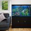 Acuario de 300L con Mueble Negro, Accesorios y Grava Azul, , large indicador imagen numero 2